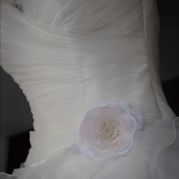 Alita Graham Wedding Dress - Picture 8 of 8